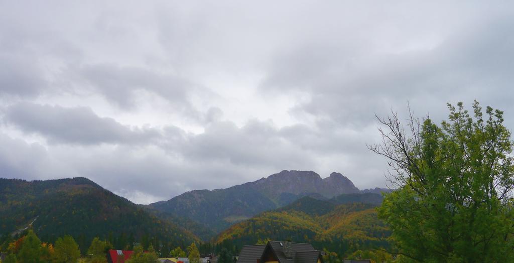 Siklawa Apartment Zakopane Bagian luar foto